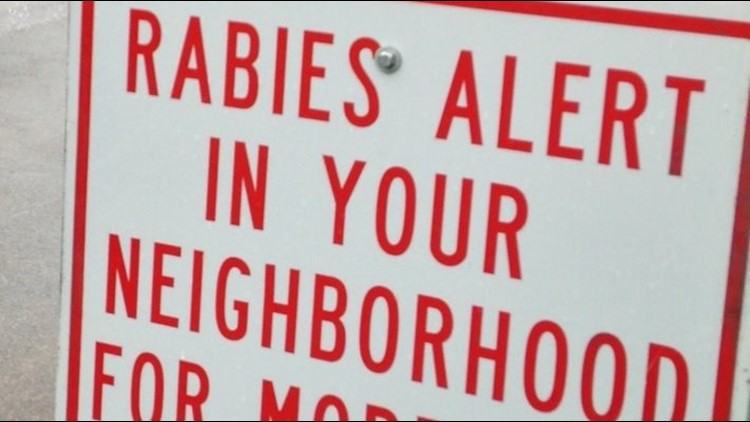 Positive rabies alert issued in Hall County after dog tests positive — 11Alive WXIA (Atlanta)